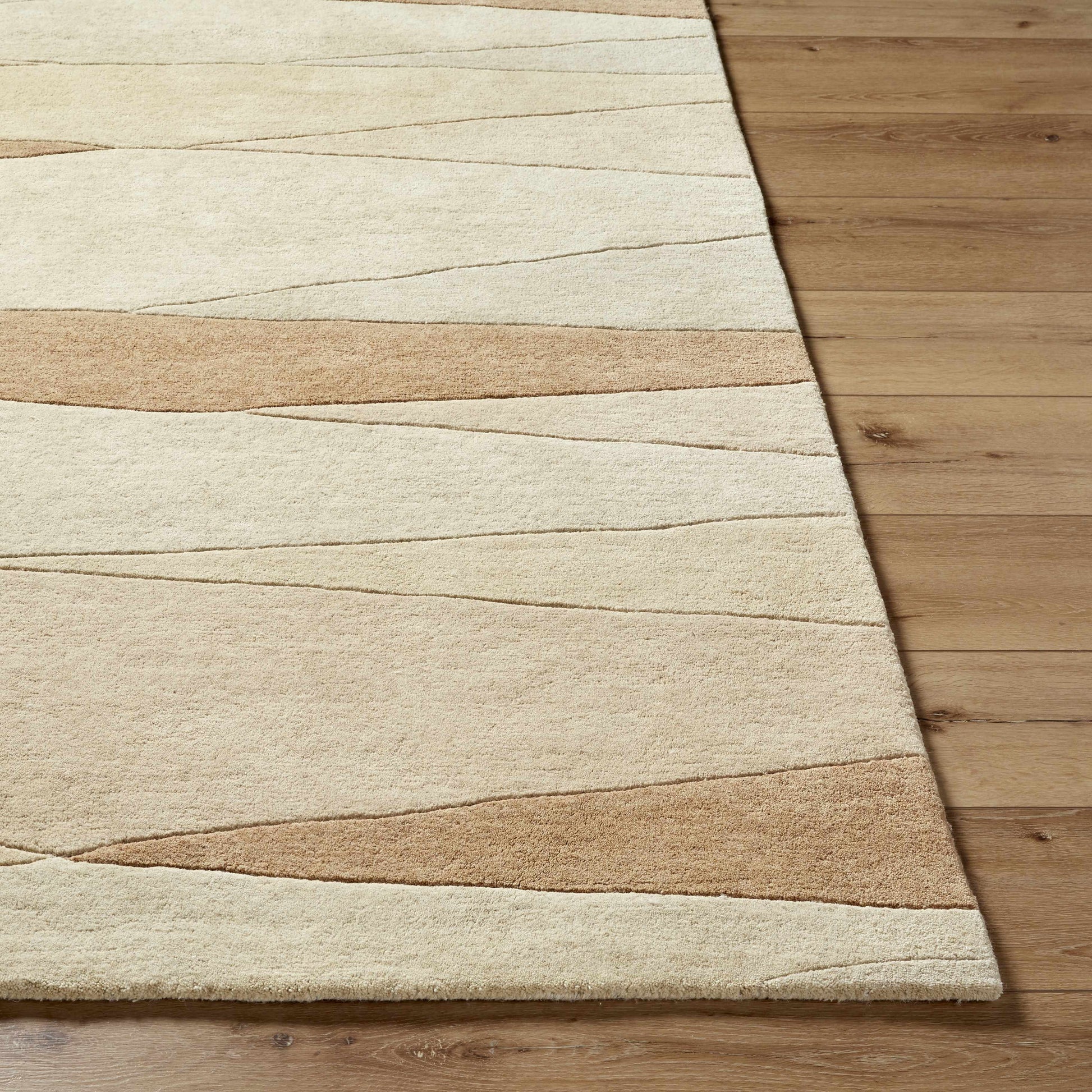 Robin Modern Wool Rug-1